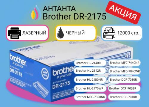 (Спец. цена) Оригинальный лазерный барабан Brother DR-2175 для Brother HL-2140R/ HL-2142R/ HL-2150NR/ HL-2170WR/ MFC-7320NR/ MFC-7440NR/ MFC-7840WR/ DCP-7030R/ DCP-7032R/ DCP-7040R/ DCP-7045NR, черный, 12000 страниц